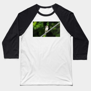 Black-capped Chickadee With A Bug In Its Mouth Baseball T-Shirt